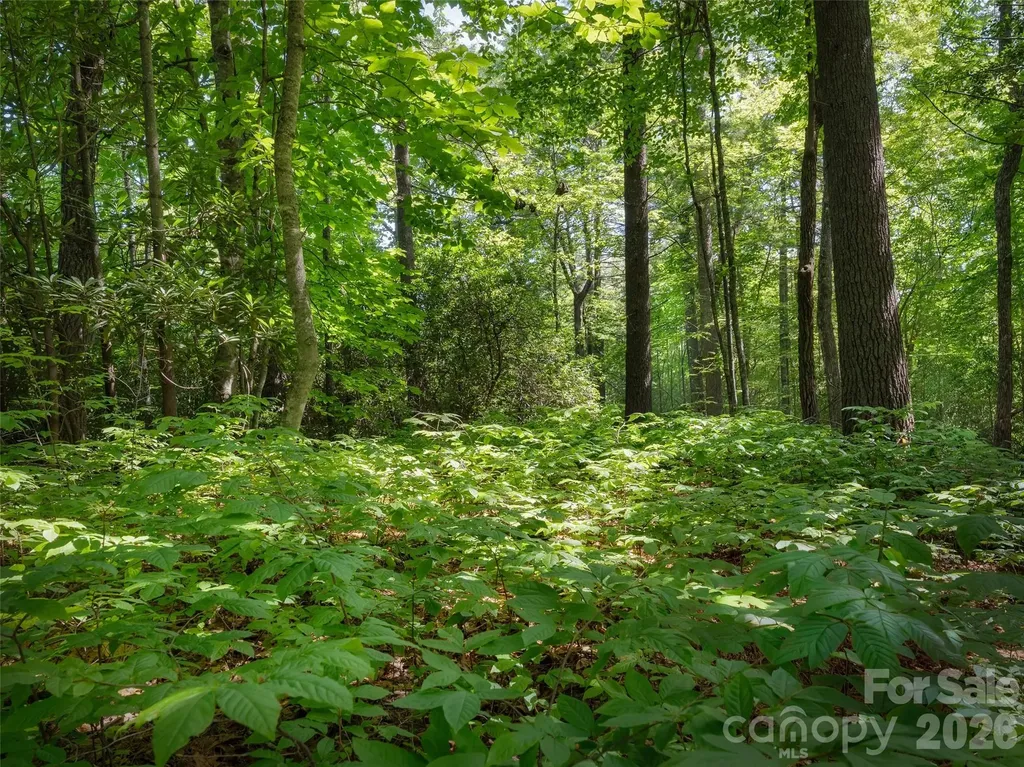 Lot 161 Eagle Lake Drive Brevard NC 28712
