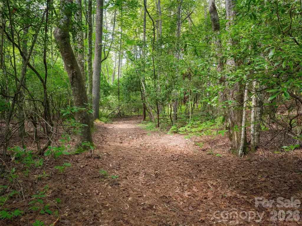 Lot 161 Eagle Lake Drive Brevard NC 28712