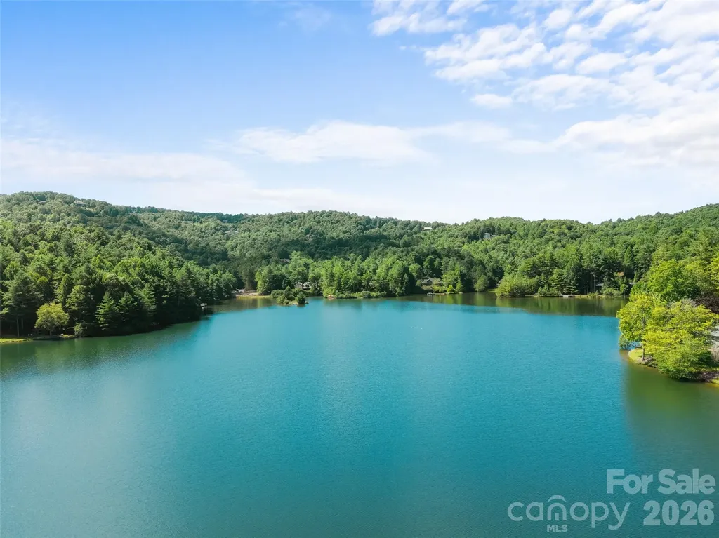 Lot 161 Eagle Lake Drive Brevard NC 28712