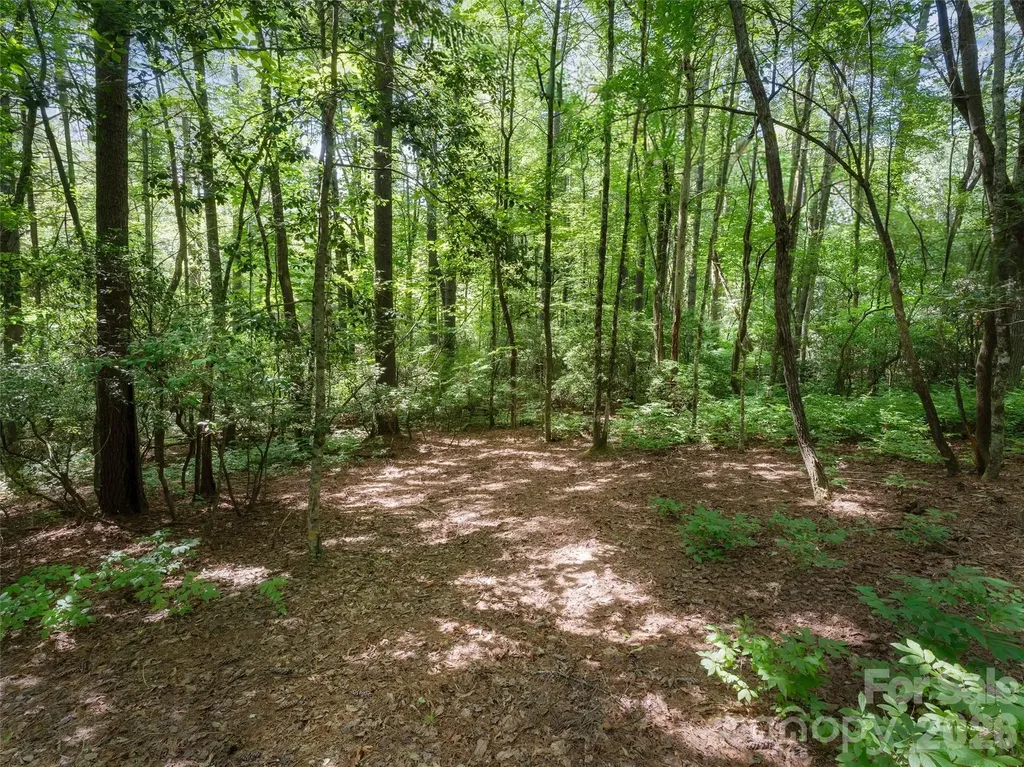Lot 161 Eagle Lake Drive Brevard NC 28712