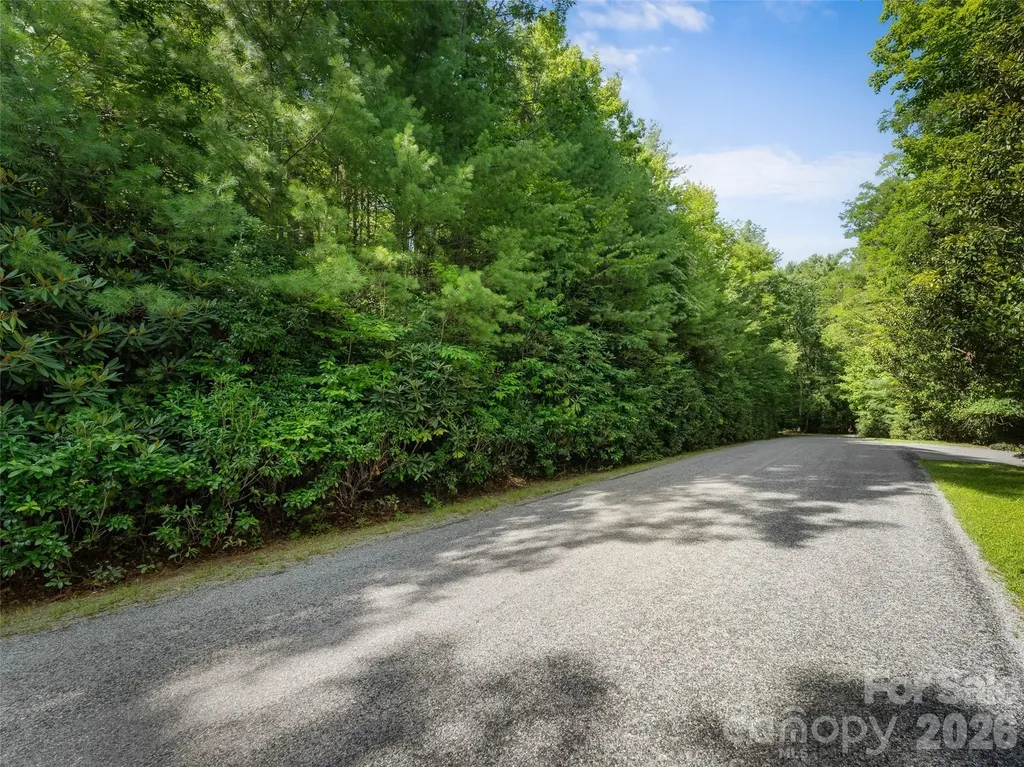Lot 161 Eagle Lake Drive Brevard NC 28712