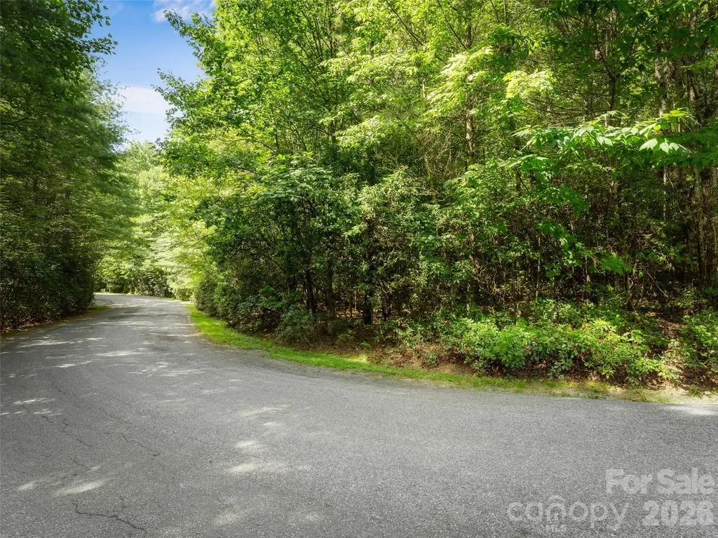 Lot 161 Eagle Lake Drive Brevard NC 28712
