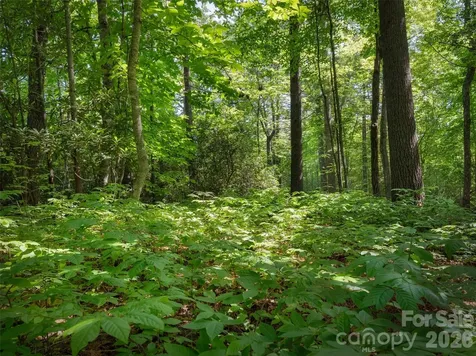 Lot 161 Eagle Lake Drive Brevard NC 28712