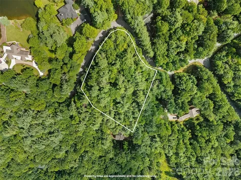 Lot 161 Eagle Lake Drive Brevard NC 28712