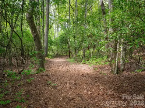 Lot 161 Eagle Lake Drive Brevard NC 28712