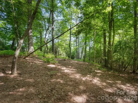 Lot 161 Eagle Lake Drive Brevard NC 28712