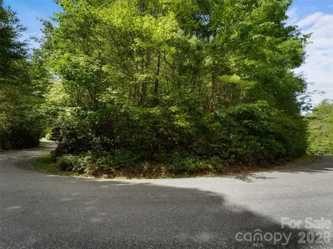 Lot 161 Eagle Lake Drive Brevard NC 28712