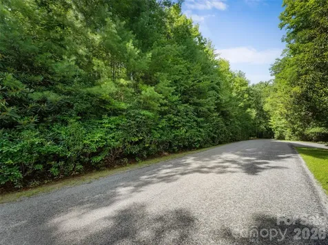 Lot 161 Eagle Lake Drive Brevard NC 28712