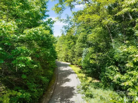 Lot 161 Eagle Lake Drive Brevard NC 28712