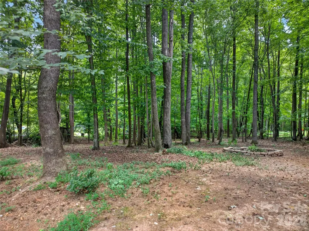 5300 Camilla Lane Waxhaw NC 28173