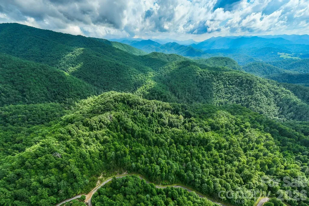 565 Pine Cone Trail Marshall NC 28753