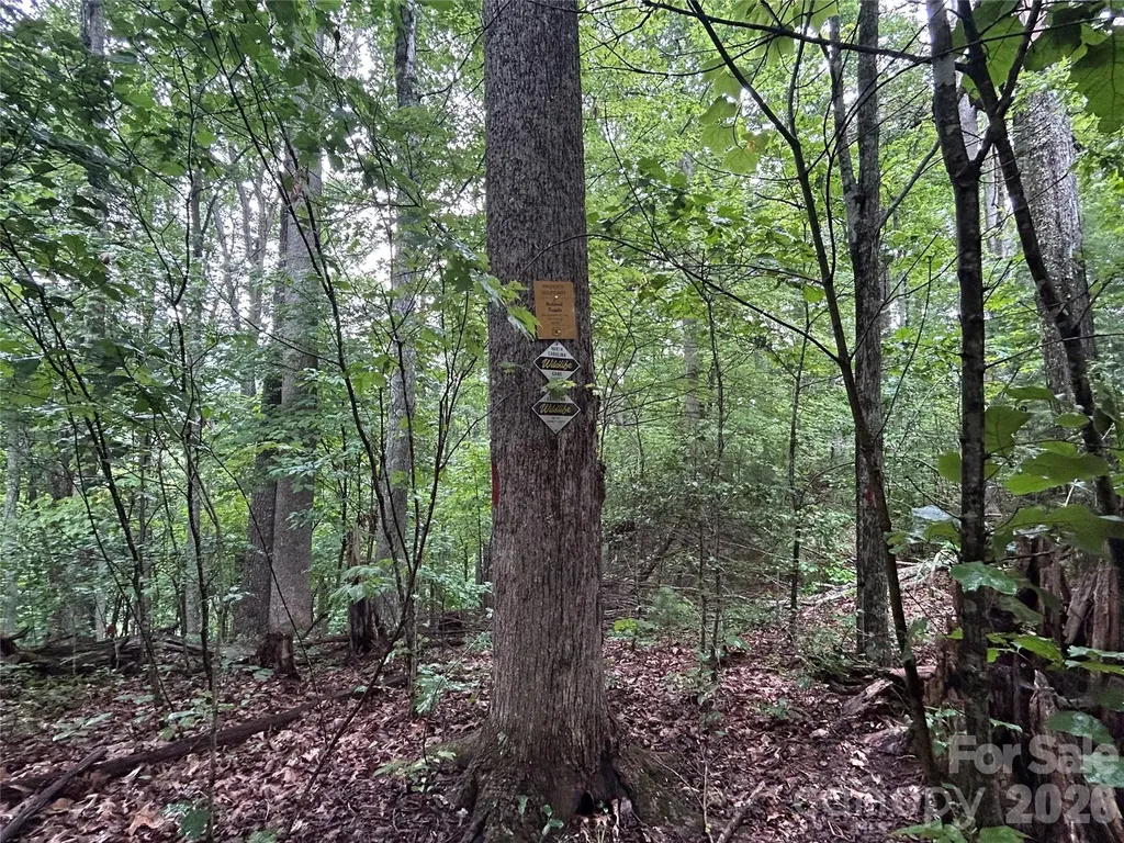565 Pine Cone Trail Marshall NC 28753