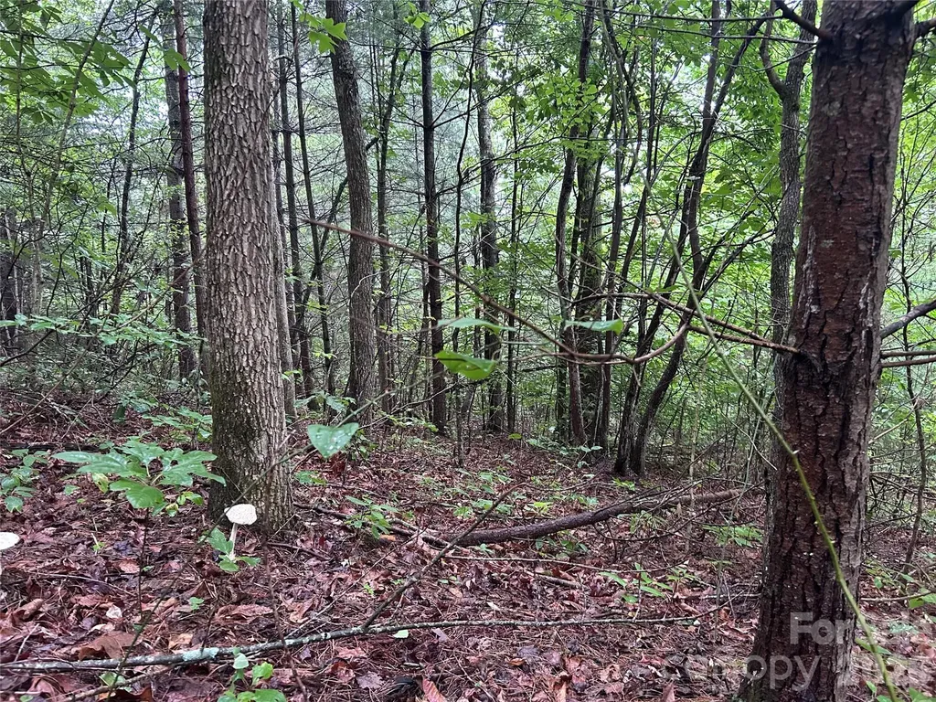 565 Pine Cone Trail Marshall NC 28753
