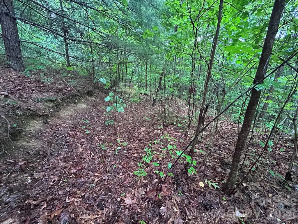 565 Pine Cone Trail Marshall NC 28753