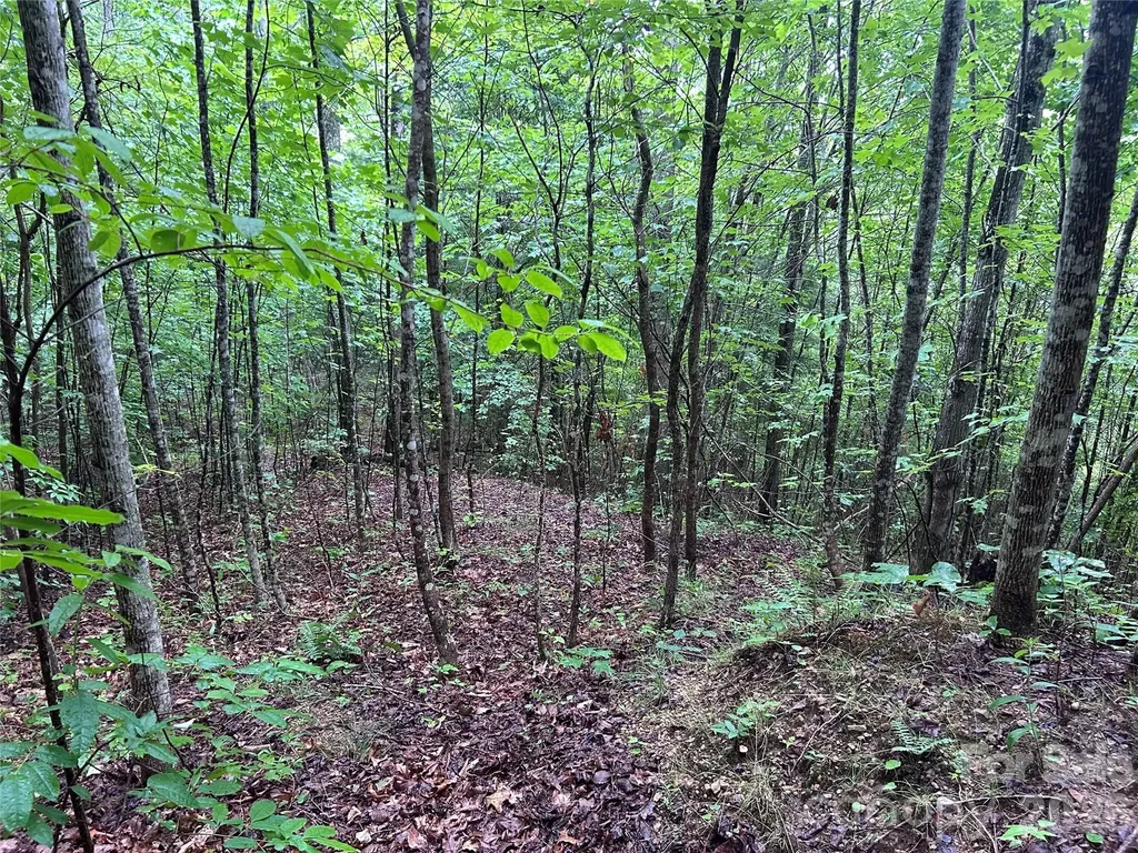 565 Pine Cone Trail Marshall NC 28753