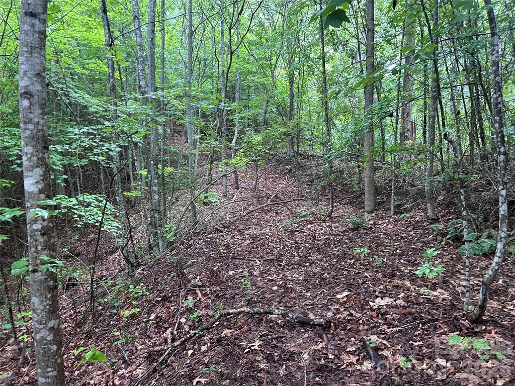 565 Pine Cone Trail Marshall NC 28753
