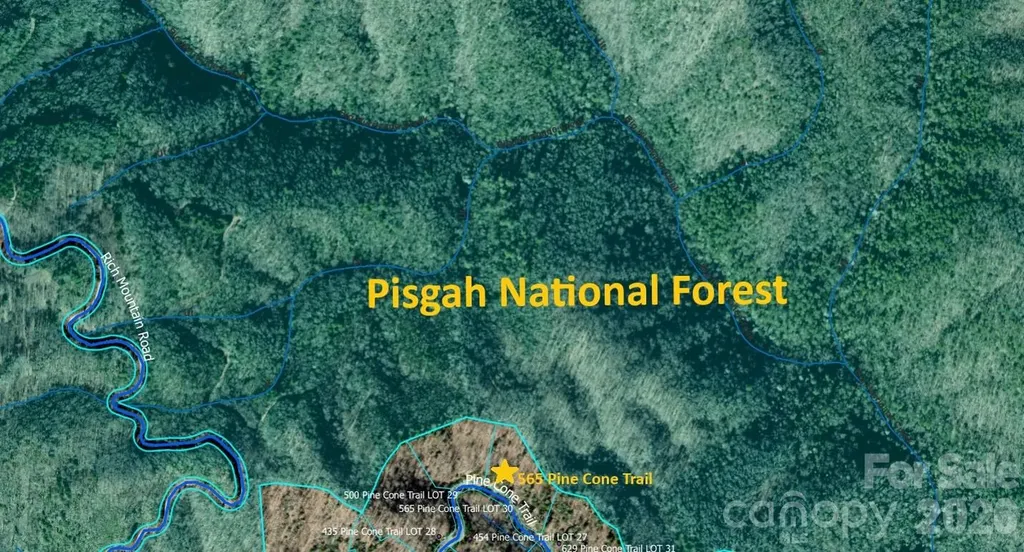 565 Pine Cone Trail Marshall NC 28753