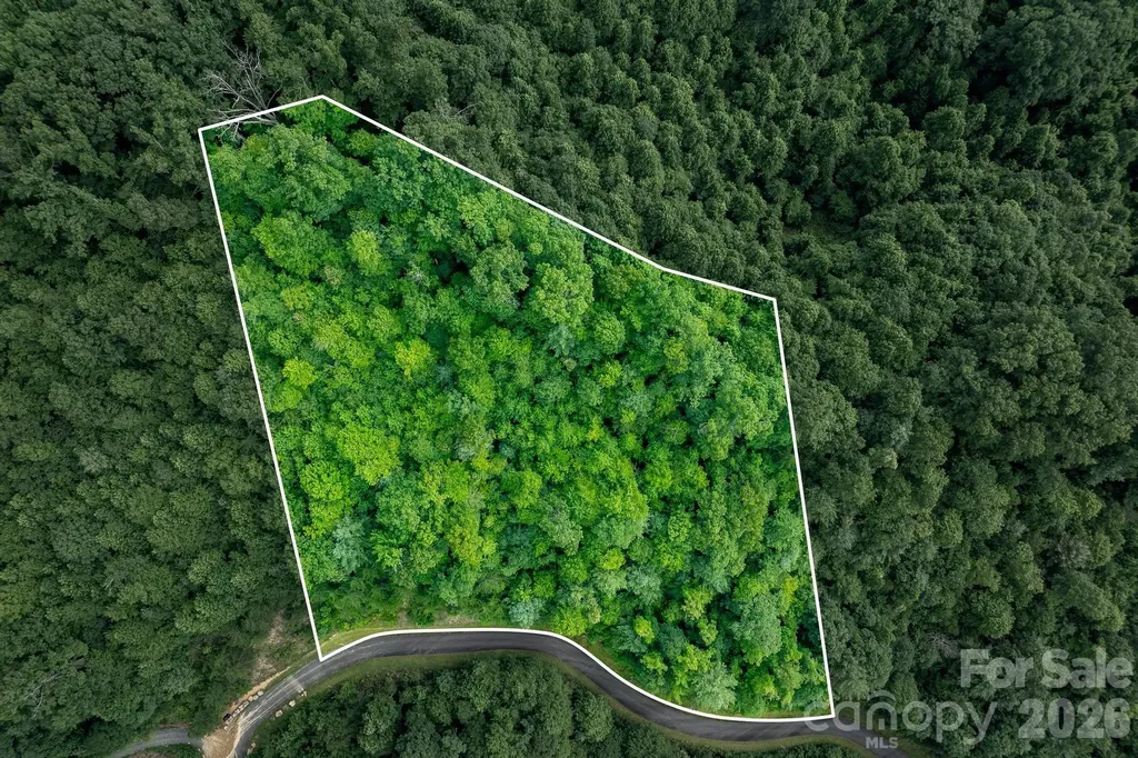 565 Pine Cone Trail Marshall NC 28753