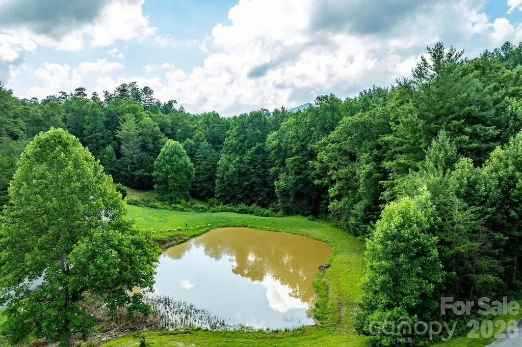 565 Pine Cone Trail Marshall NC 28753