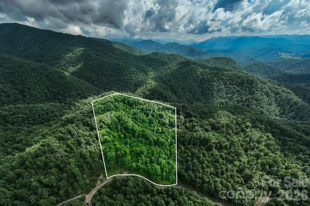 565 Pine Cone Trail Marshall NC 28753
