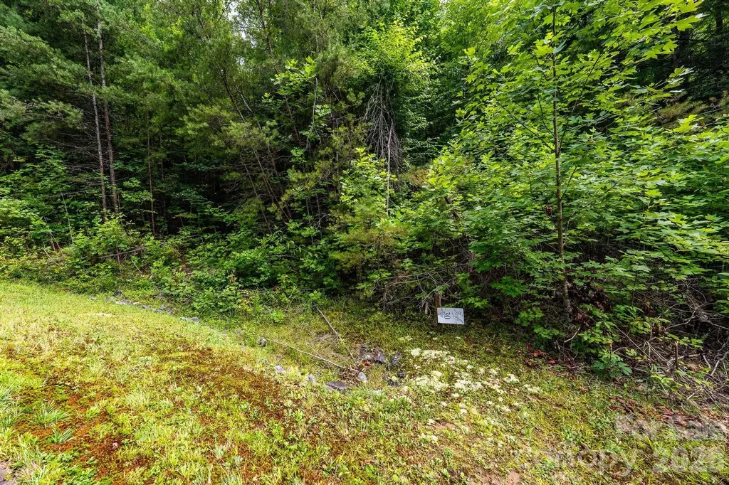 565 Pine Cone Trail Marshall NC 28753