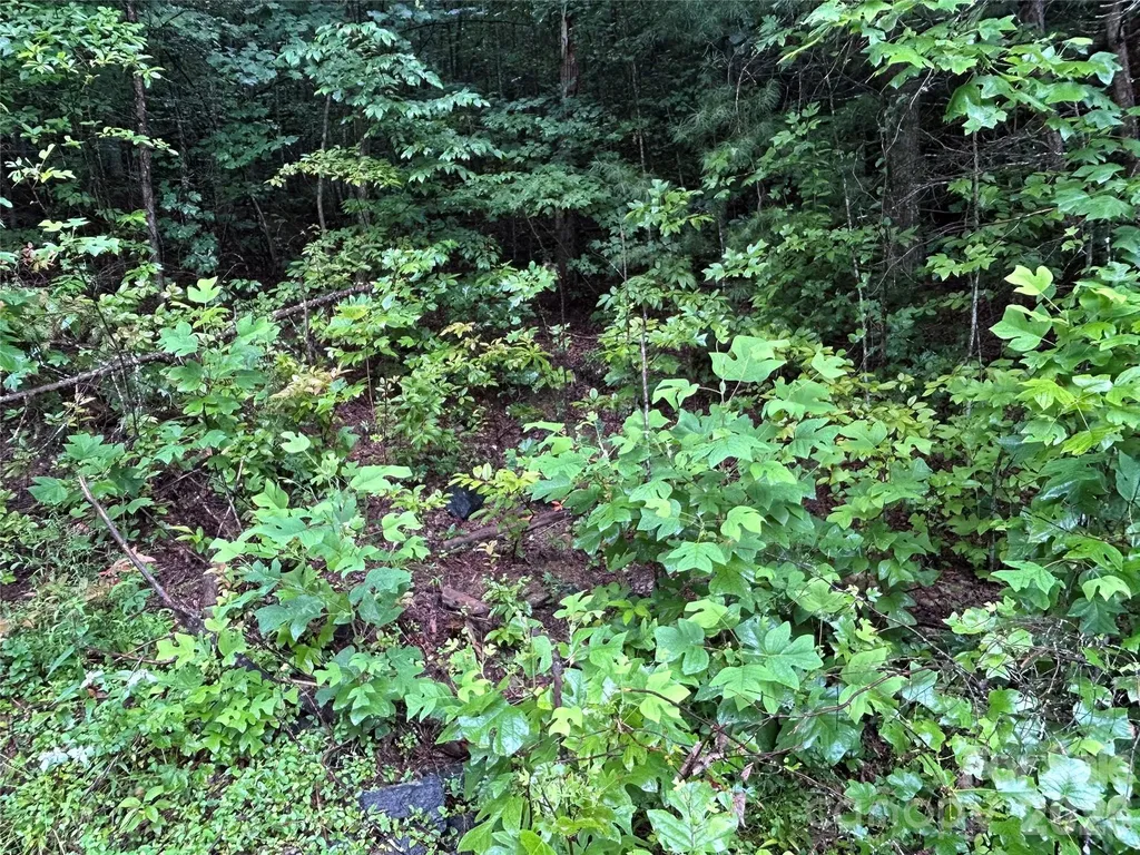 565 Pine Cone Trail Marshall NC 28753