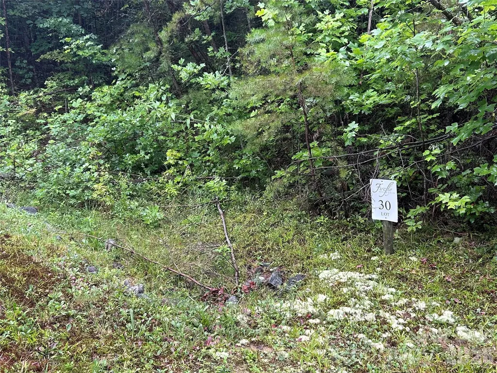 565 Pine Cone Trail Marshall NC 28753