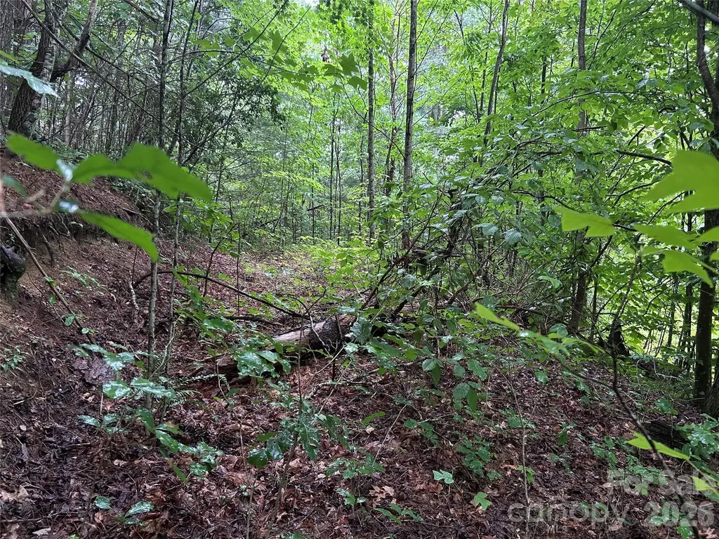 565 Pine Cone Trail Marshall NC 28753