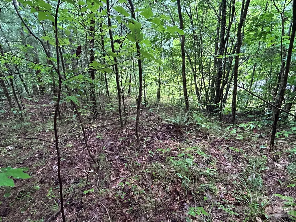 565 Pine Cone Trail Marshall NC 28753