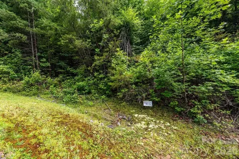 565 Pine Cone Trail Marshall NC 28753