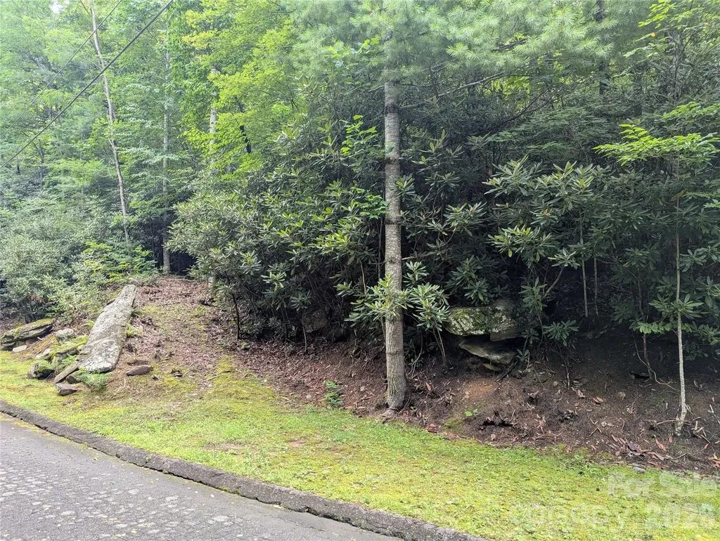 99999 Maryland Place Montreat NC 28757
