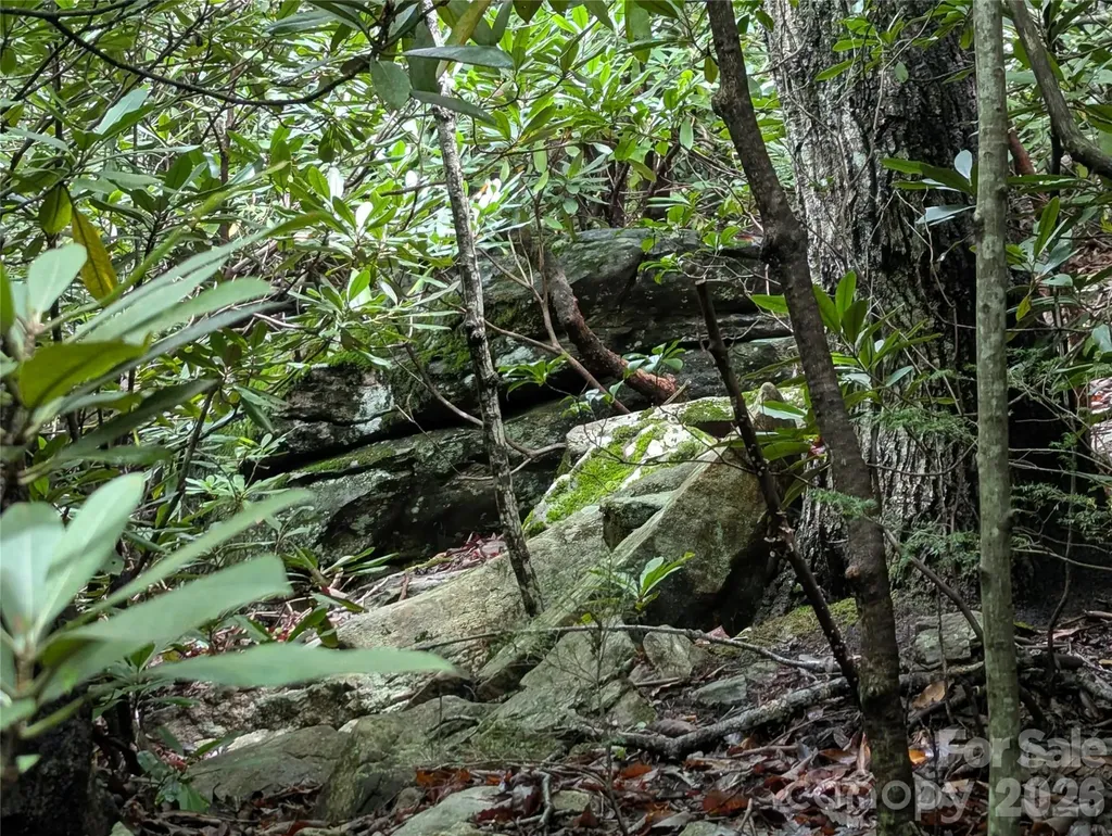 99999 Maryland Place Montreat NC 28757