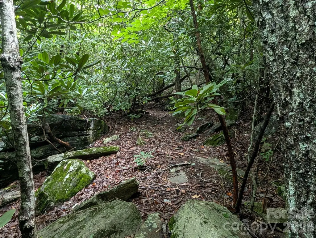 99999 Maryland Place Montreat NC 28757