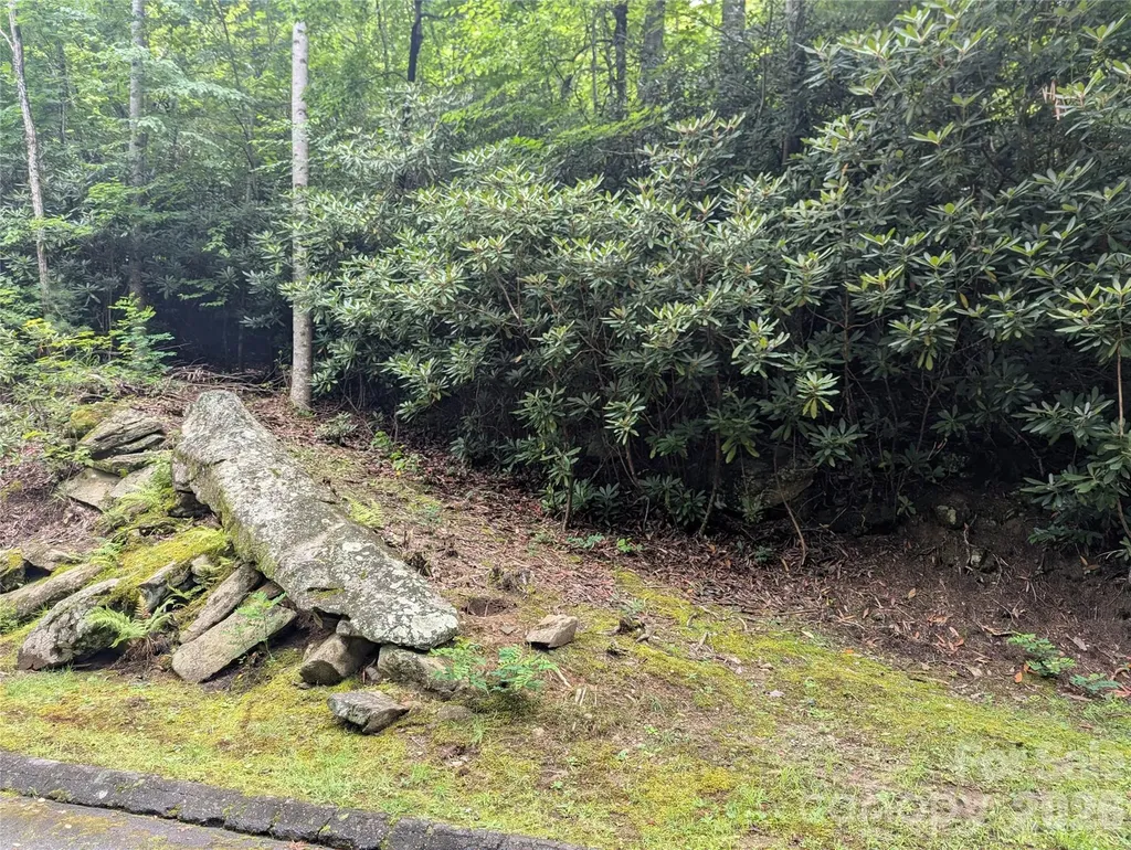 99999 Maryland Place Montreat NC 28757