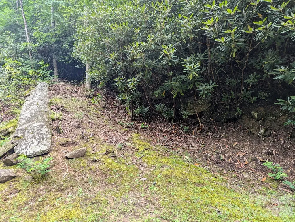 99999 Maryland Place Montreat NC 28757
