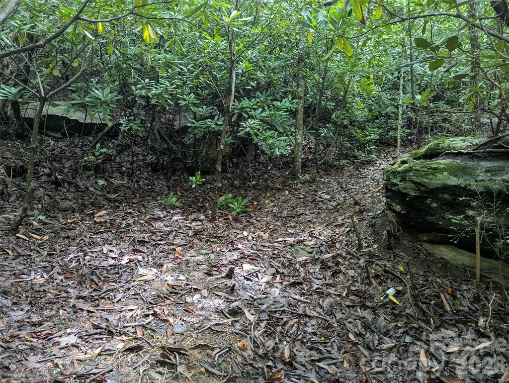 99999 Maryland Place Montreat NC 28757