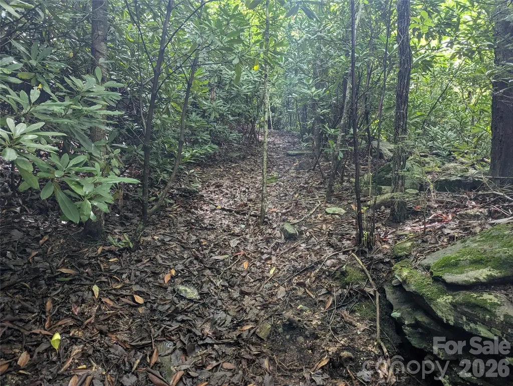 99999 Maryland Place Montreat NC 28757