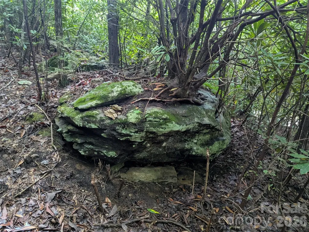 99999 Maryland Place Montreat NC 28757