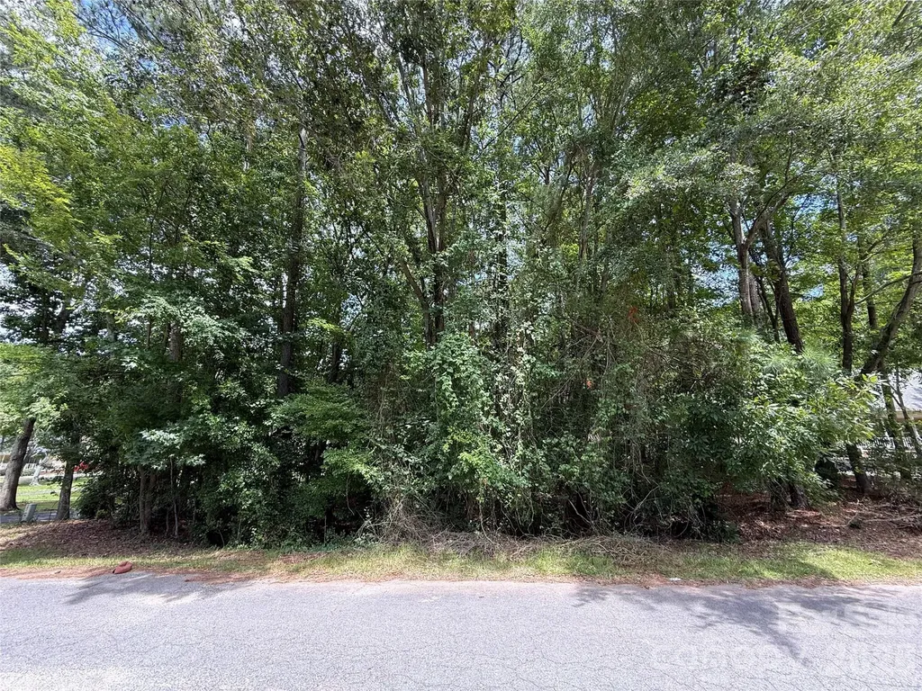 TBD1 Highland Woods Drive Wadesboro NC 28170