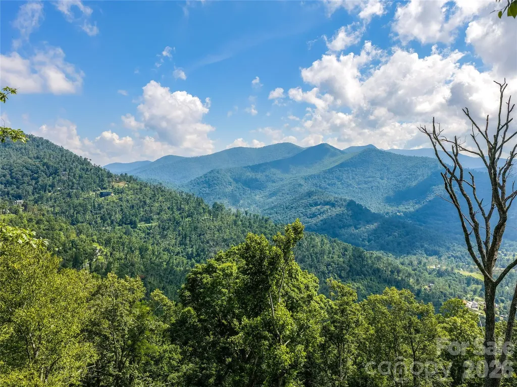 36 Cary Lane Asheville NC 28804