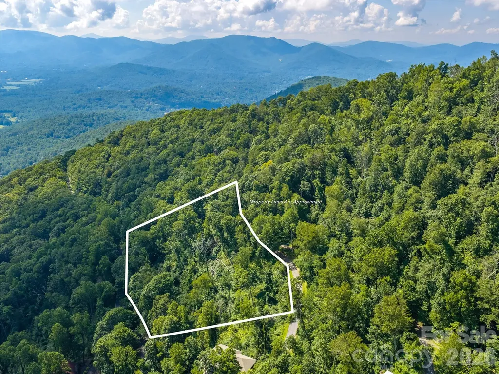 36 Cary Lane Asheville NC 28804