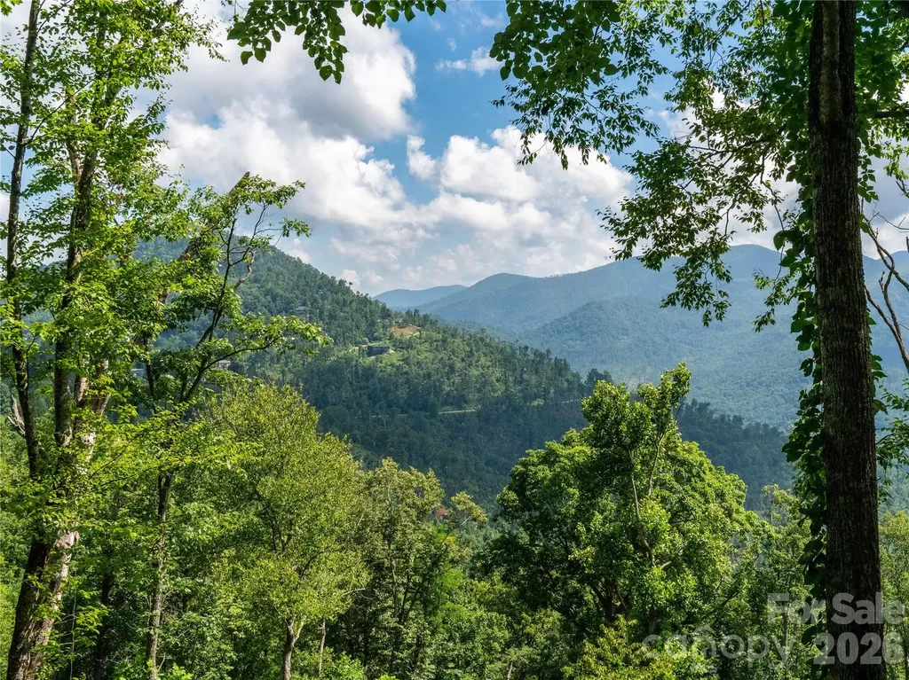 36 Cary Lane Asheville NC 28804
