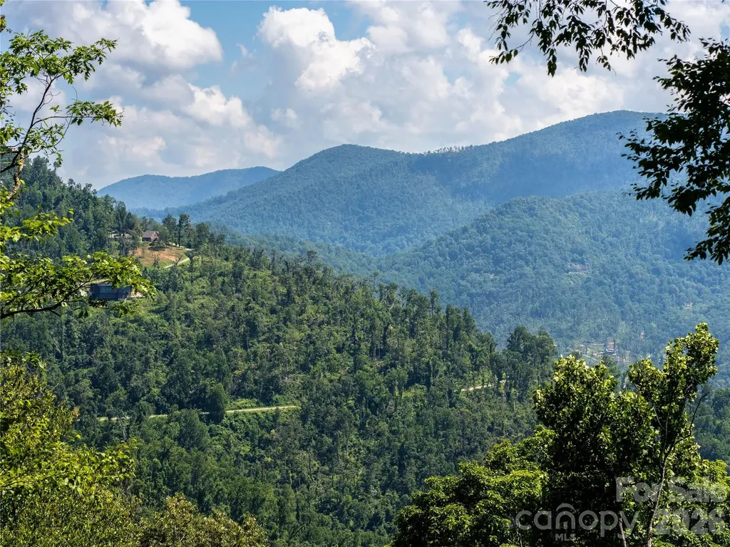 36 Cary Lane Asheville NC 28804