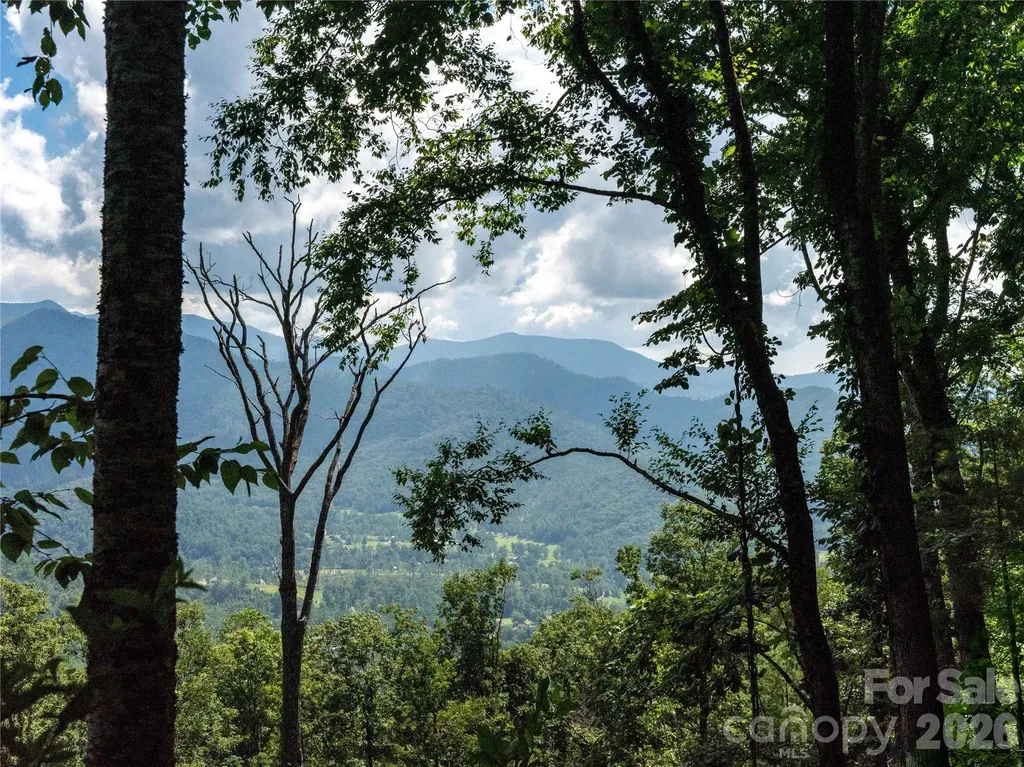 36 Cary Lane Asheville NC 28804