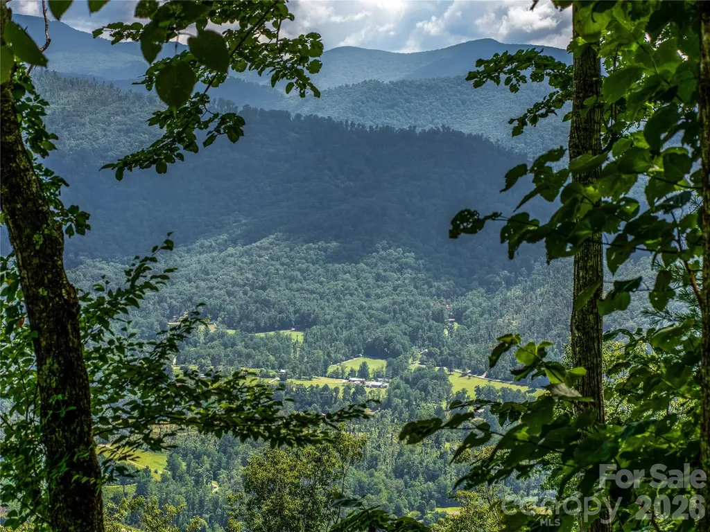 36 Cary Lane Asheville NC 28804