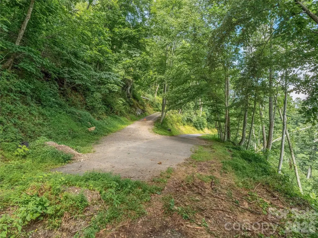 36 Cary Lane Asheville NC 28804