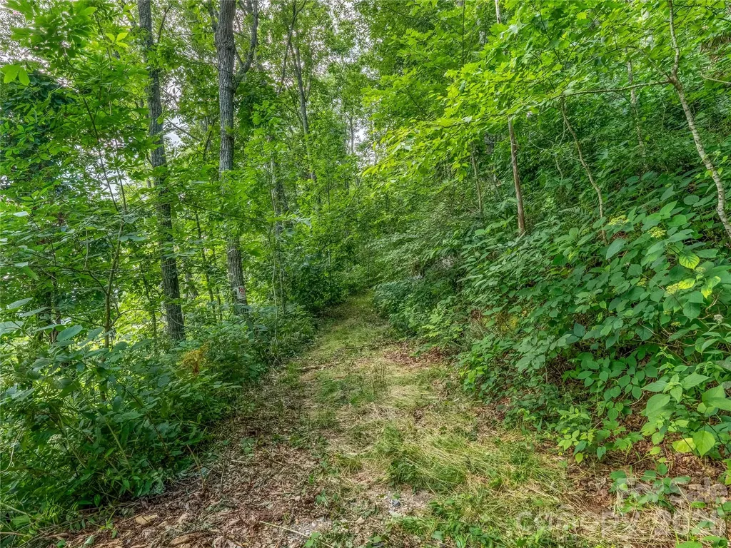 36 Cary Lane Asheville NC 28804