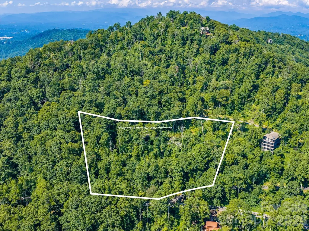 36 Cary Lane Asheville NC 28804
