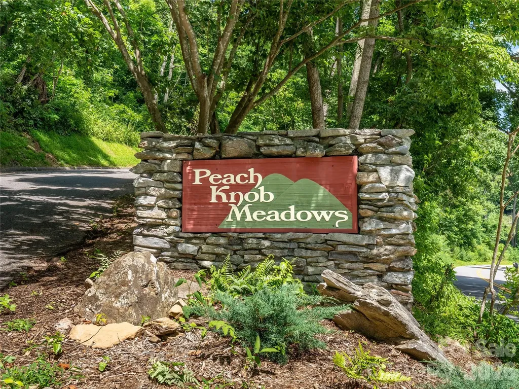 36 Cary Lane Asheville NC 28804