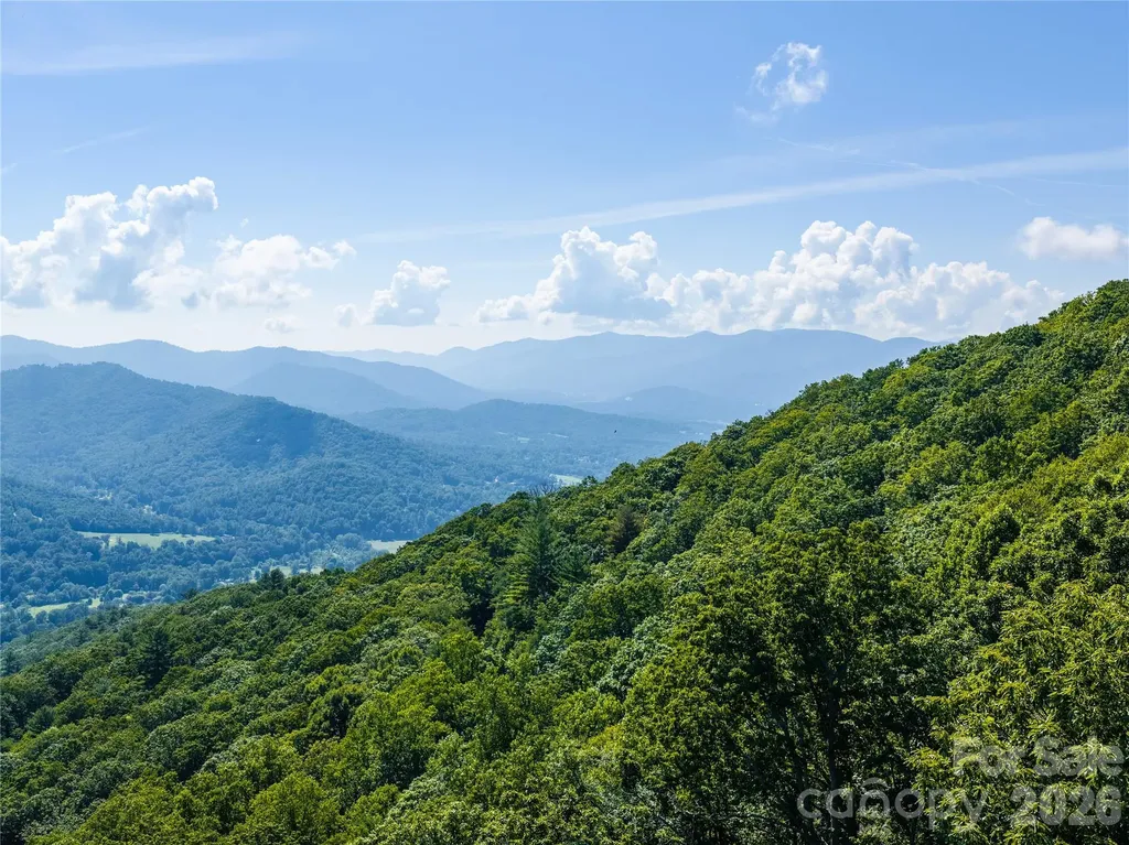 36 Cary Lane Asheville NC 28804
